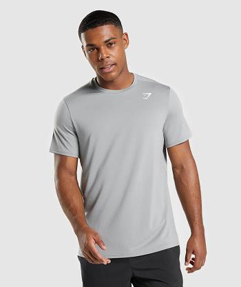 Gymshark Arrival Regular Fit T Shirts Herr Grå | SE 3865TCE